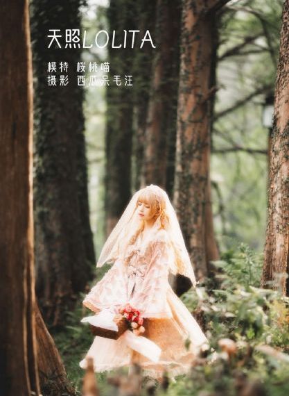 亚洲一区二区四区五区六区_云播放粤语日本成人在线