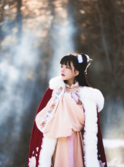 网战美女丰毛片_DVD在线观看完整版