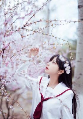 午夜无码动漫_蓝光超清在线观看